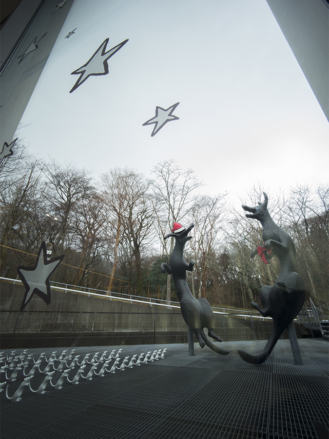 しあわせな犬 / blessed dogs クリスマス装飾 2019-4