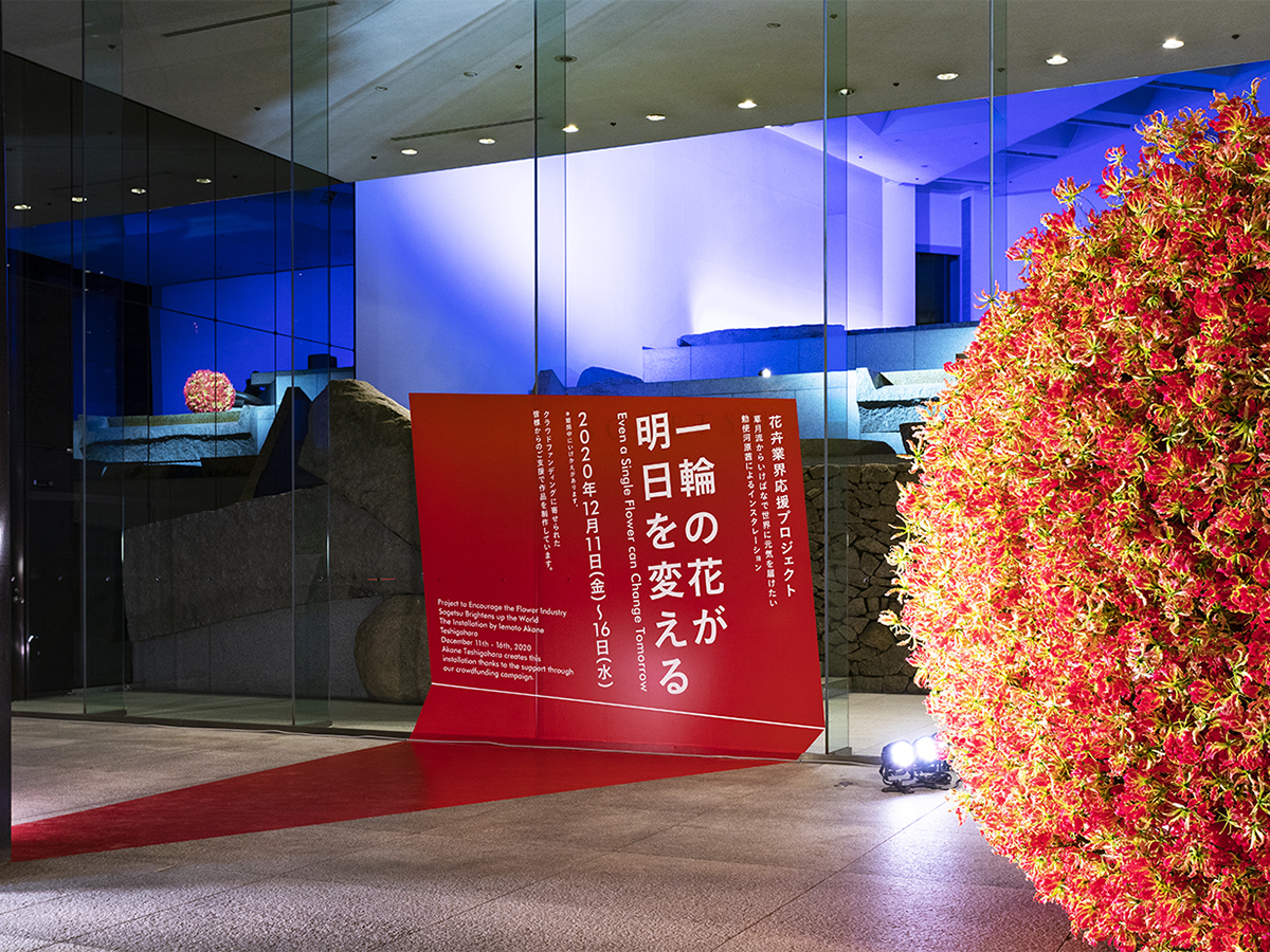一輪の花が、明日を変える-3